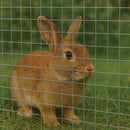 Stainless Steel Wire Mesh – 13x13mm Holes, 16 Gauge, Corrosion-Resistant & Heavy-Duty!
