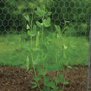 Premium Stainless Steel Netting – Ultra-Durable, Rust-Resistant & Versatile for Any Application!