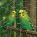 Premium Rabbit Netting – Galvanized Steel Finish Garden Fencing, Hexagonal Hole