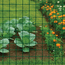 Green PVC Coated Mesh, 25 x 25mm Square Holes 12 Gauge Galvanised Core Wire (Heavy-Weight)