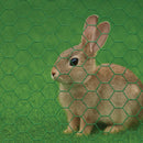 Premium Galvanised Wire Netting – 50mm Hexagonal Hole, Green PVC-Coated Steel