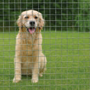 Heavy-Duty Stainless Steel Wire Mesh – 50x50mm Holes, 12 Gauge, Rust-Proof & Ultra-Strong!