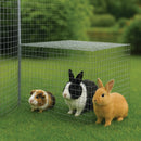 Premium 19mm x 19mm Galvanised Wire Mesh – 16G Heavy-Duty Roll for Industrial & Garden Use