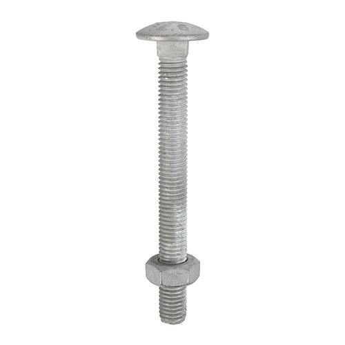 Carriage Bolts & Hex Nuts - Hot Dipped Galvanised - M8 x 100