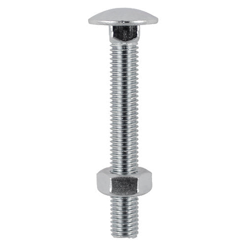 Carriage Bolts & Hex Nuts - Stainless Steel - M8 x 130