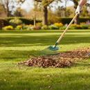 Professional 20-Tine Spring Lawn Rake with Durable Ash Handle for Effective Lawn Maintenance