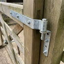 Double Strap Hinge 24in Top - Offset Eye
