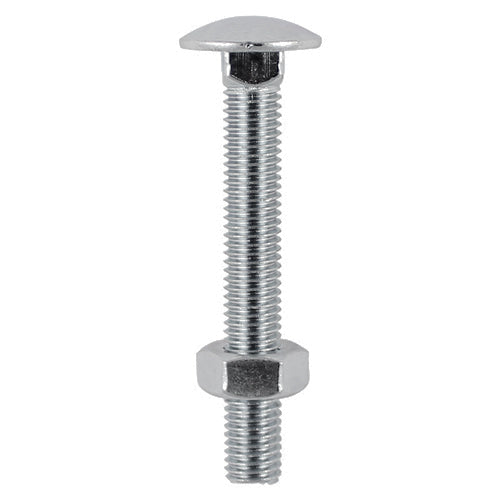 Carriage Bolts & Hex Nuts - Stainless Steel - M10 x 100
