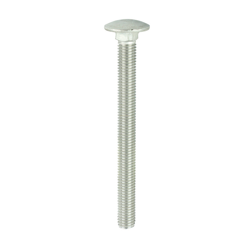 Carriage Bolts - A2 Stainless Steel - M10 x 110