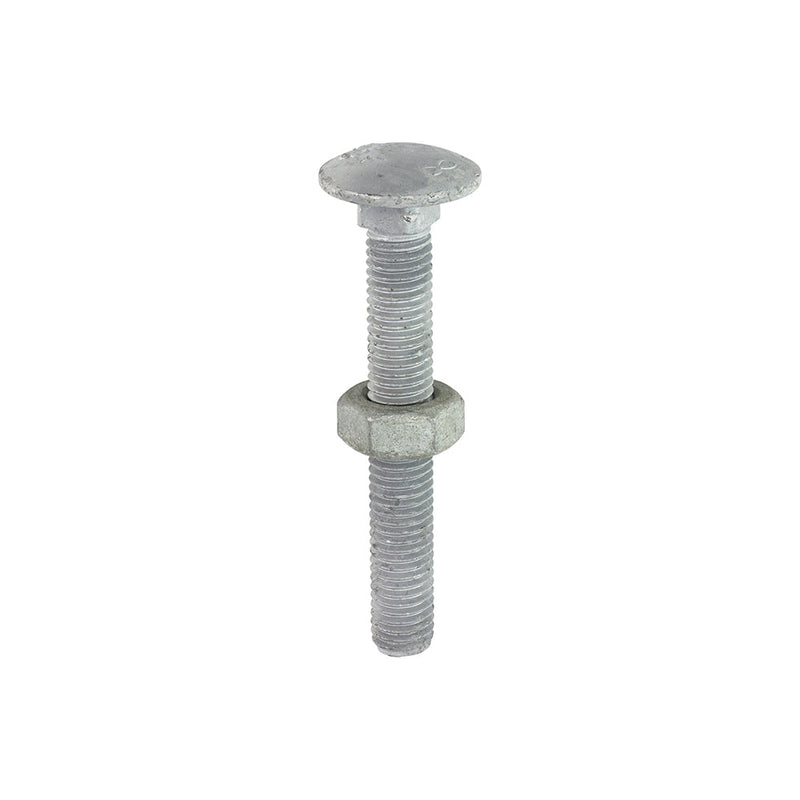 Carriage Bolts & Hex Nuts - Hot Dipped Galvanised - M10 x 75