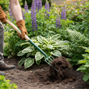 Premium Heavy Duty Border Fork - Forged Steel Construction with Ergonomic Handle Options for Gardening and Landscaping