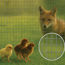 Premium 13mm x 25mm 19G Wire Mesh – Rust-Proof, Durable & Multi-Purpose for Home & Industry!