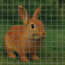 Premium Rabbit Enclosure Wire Mesh – 13mm x 13mm, 19 Gauge Galvanized Mild Steel - Lightweight