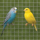 Premium Stainless Steel Mesh – 13mm x 13mm Square Holes, 19 Gauge Welded Wire