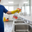 Premium Disinfectant Spray for Washroom Cleaning - 750ML with Bacteria and Virus Protection