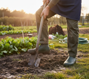 Premium Easy-On Easy-Off Wellie Shoe for Agriculture - Waterproof and Chemical Resistant