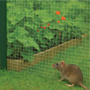 Premium 19mm x 19mm Galvanised Wire Mesh – 16G Heavy-Duty Roll for Industrial & Garden Use