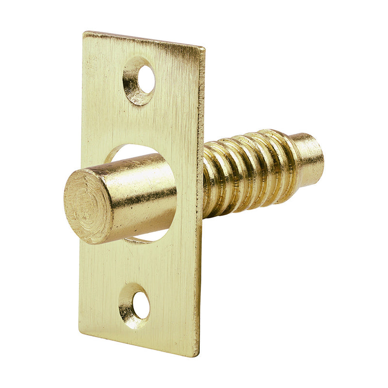 Hinge Bolts - Electro Brass - 48mm