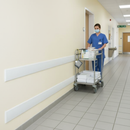 Premium Wall Buffers for Impact Resistance in Public and Health Areas - Durable Polyethylene Protection Rail