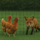 Premium Black PVC Coated Welded Wire Mesh – 25x25mm Square Hole, Medium-weight