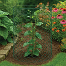 Premium 25mm Green-Coated Wire Netting – Heavy-Duty, Rust-Resistant & Multi-Purpose!