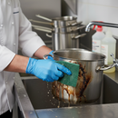 Professional Green Scouring Pads - Pack of 10 for Effective Cleaning and Scrubbing