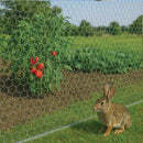Premium Rabbit Netting – Galvanized Steel Finish Garden Fencing, Hexagonal Hole