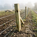 Larch Pointed Stob 3in x 3in for Fencing