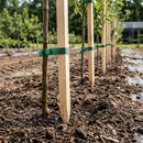 Tree Stakes 1 1/4in x 1 1/4in