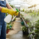 Premium Trigger Spray Bottle 750ML - Versatile Green Spray for Various Applications