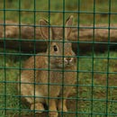 Green PVC Coated Wire Mesh, 50 x 50mm Square Holes 14 Gauge Galvanised Steel (Medium Weight)