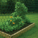 Heavy-Duty 50mm Green-Coated Wire Netting – Rust-Resistant, Multi-Purpose & Weatherproof!