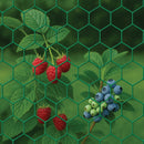Heavy-Duty 50mm Green-Coated Wire Netting – Rust-Resistant, Multi-Purpose & Weatherproof!