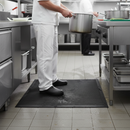 Premium Heavy Duty Anti-Slip Hygiene Mat with Disinfectant Solution Capacity for Food Preparation Areas