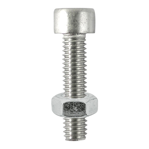 Socket Screws & Hex Nuts - Cap - Stainless Steel - M6 x 16