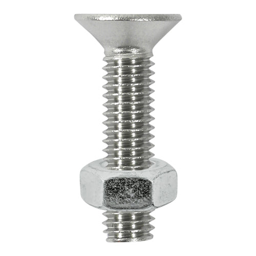 Socket Screws & Hex Nuts - Countersunk - Stainless Steel - M6 x 16
