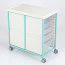 Steel Double Column Tray Trolley – 9 Drawers (3×100mm, 6×150mm) (view 2)