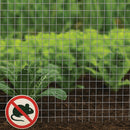 Mouse Protection Welded Wire Mesh – 6mm x 6mm Square, Galvanised Steel