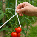 6mm White Polypropylene 3-Strand Rope 25m Coil – Strong 3-Strand Twisted