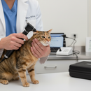 Premium Rechargeable Veterinary Diagnostic Set with Otoscope and Ophthalmoscope for Enhanced Animal Care