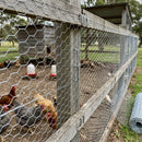 Chicken Wire 1050mm x 31mm x 18 Gauge - 50m Roll
