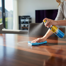 Premium Multi Surface Polish Aerosol Cleaner 400ML - Gentle on Stainless Steel, Glass, Plastic and Electronics