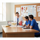 Comprehensive Premium Shoulder Anatomy and Pathology Collection for Physiotherapy and Orthopaedic Education