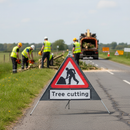 Premium Roll-Up Tree Cutting Sign with PVC Face and Galvanized Steel Frame for Road Safety and Mobility