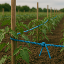 6mm Blue Polypropylene 3-Strand Rope – Heavy-Duty, Waterproof & UV-Resistant | 100m Mini Coil