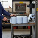 Premium 2-Ply Paper Rolls for Basic Wiping Tasks - High Capacity and Food Contact Approved