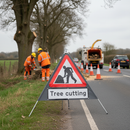 Premium Roll-Up Tree Cutting Sign with PVC Face and Galvanized Steel Frame for Road Safety and Mobility