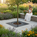Premium Heavy Duty Tree Grille with Galvanised Mild Steel Frame for Urban Protection and Aesthetic Appeal