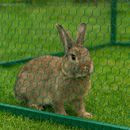 Premium 13mm Green-Coated Wire Netting – Rust-Resistant & Durable Garden Fencing!