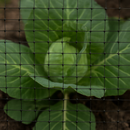 Anti-Butterfly & Pond Netting – 7mm x 6mm Garden Protection Mesh